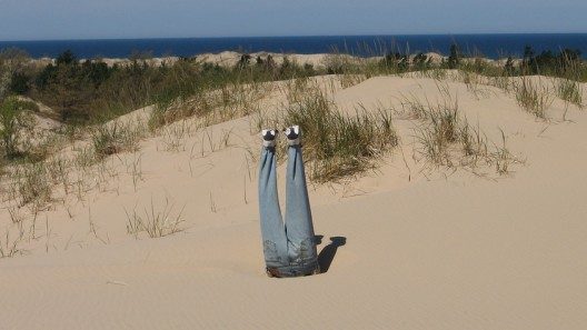 headinsand